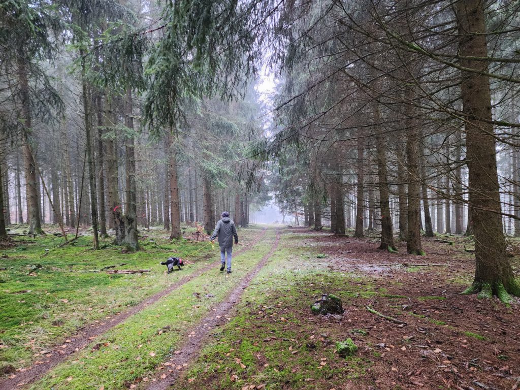 Copyright © 2026 Andreas Zingsheim