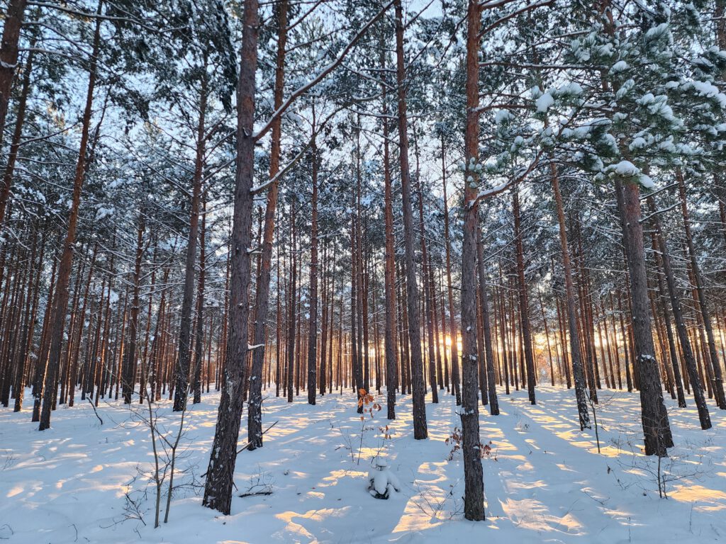 Copyright © 2026 Andreas Zingsheim