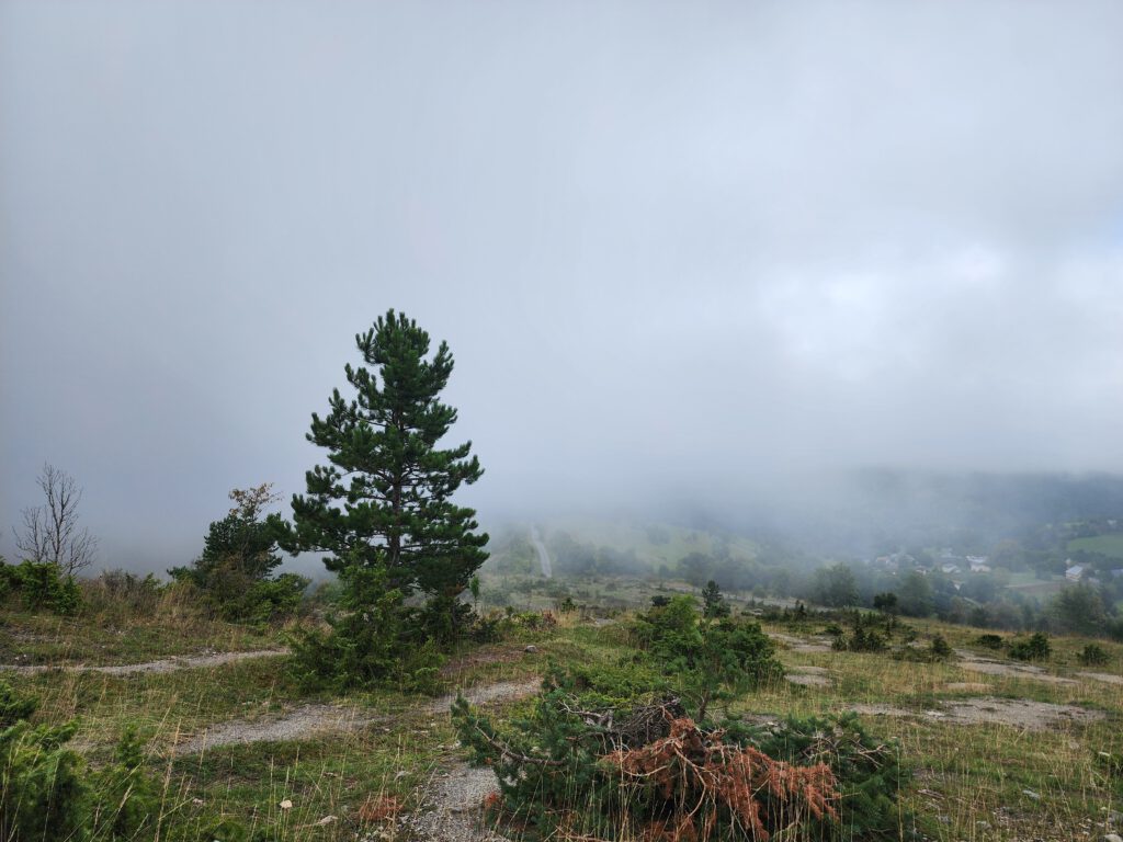 Copyright © 2026 Andreas Zingsheim