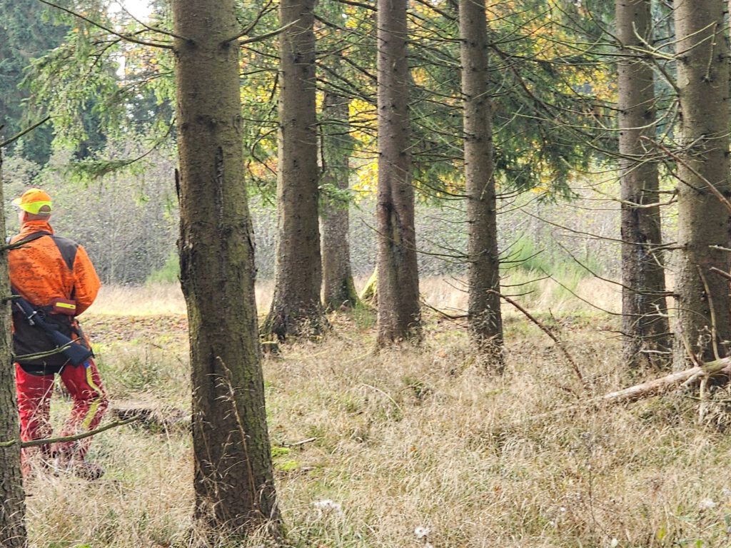 Copyright © 2026 Andreas Zingsheim