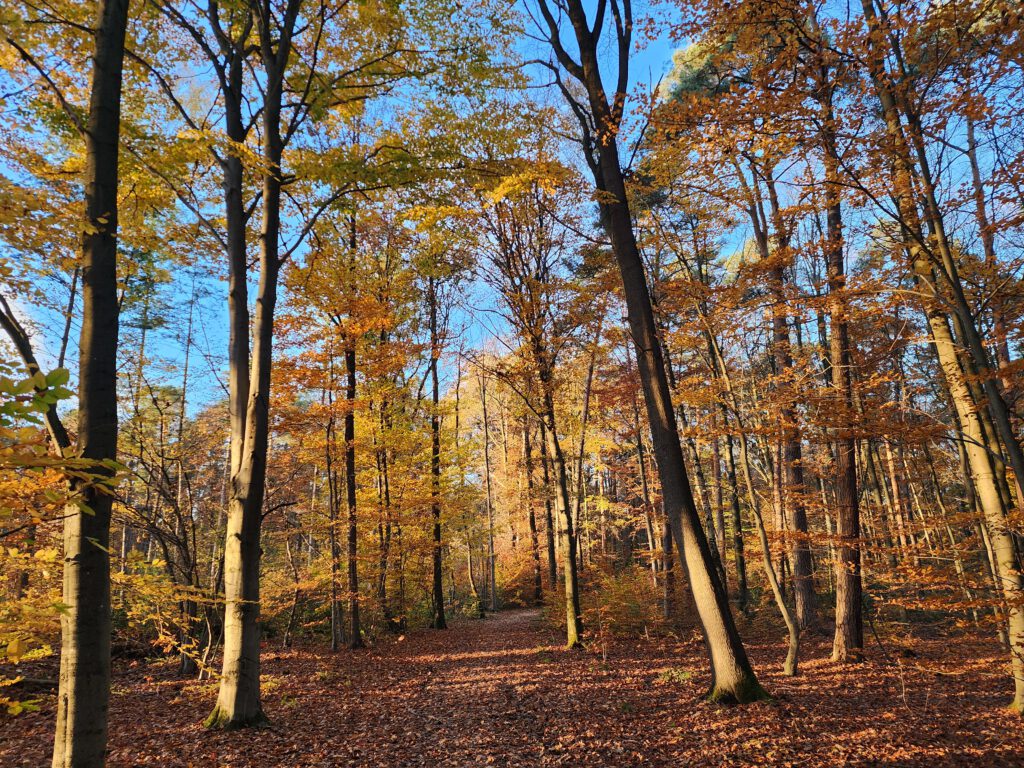 Copyright © 2026 Andreas Zingsheim