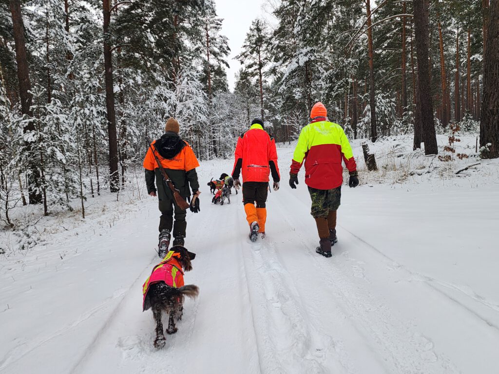 Copyright © 2026 Andreas Zingsheim