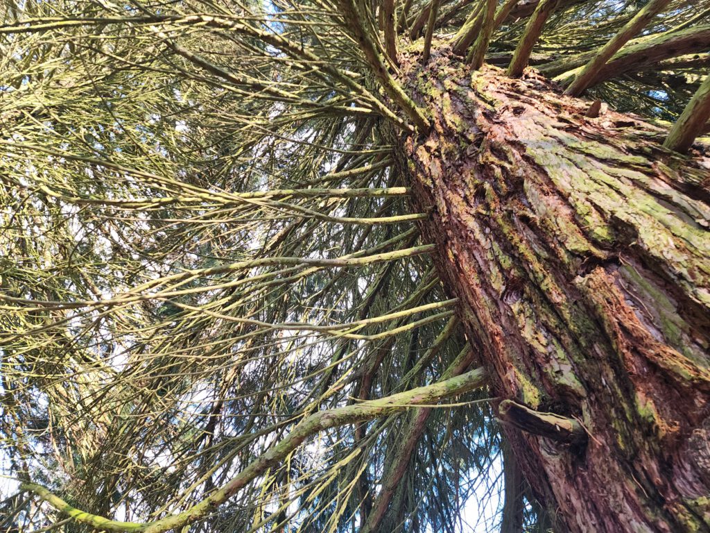 Copyright © 2026 Andreas Zingsheim