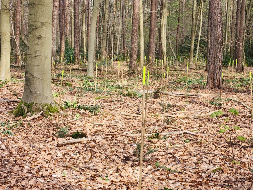 Copyright © 2026 Andreas Zingsheim